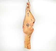 Meat Cut Spec Step 1